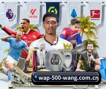 500彩票网足球 APP 界面