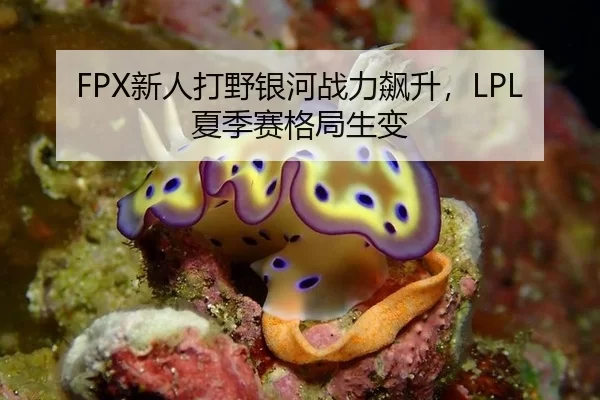 FPX新人打野银河战力飙升，LPL夏季赛格局生变