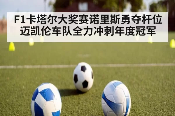 F1卡塔尔大奖赛诺里斯勇夺杆位迈凯伦车队全力冲刺年度冠军