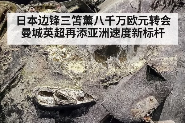 日本边锋三笘薰八千万欧元转会曼城英超再添亚洲速度新标杆
