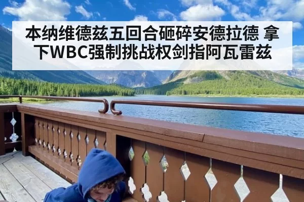 本纳维德兹五回合砸碎安德拉德 拿下WBC强制挑战权剑指阿瓦雷兹